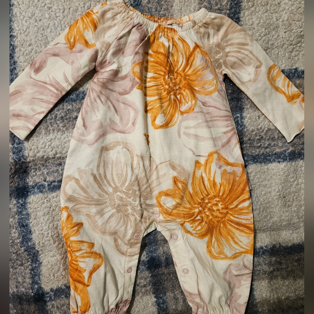 Burt's Bees Baby Girl Romper with Earthy Tones